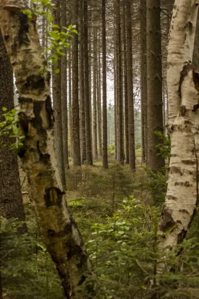 omgeving-3